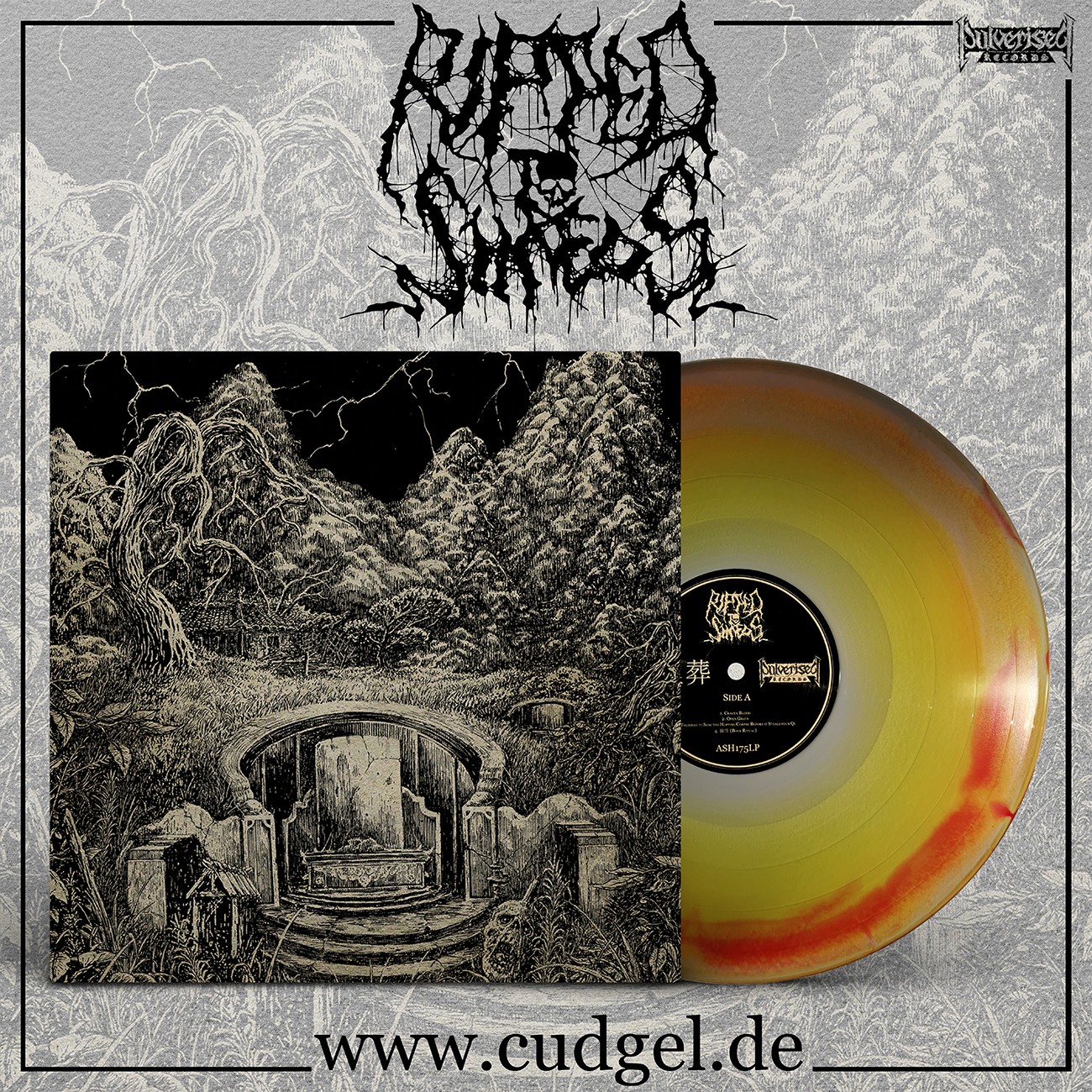 RIPPED TO SHREDS - mai zang LP grey/yellow/red
