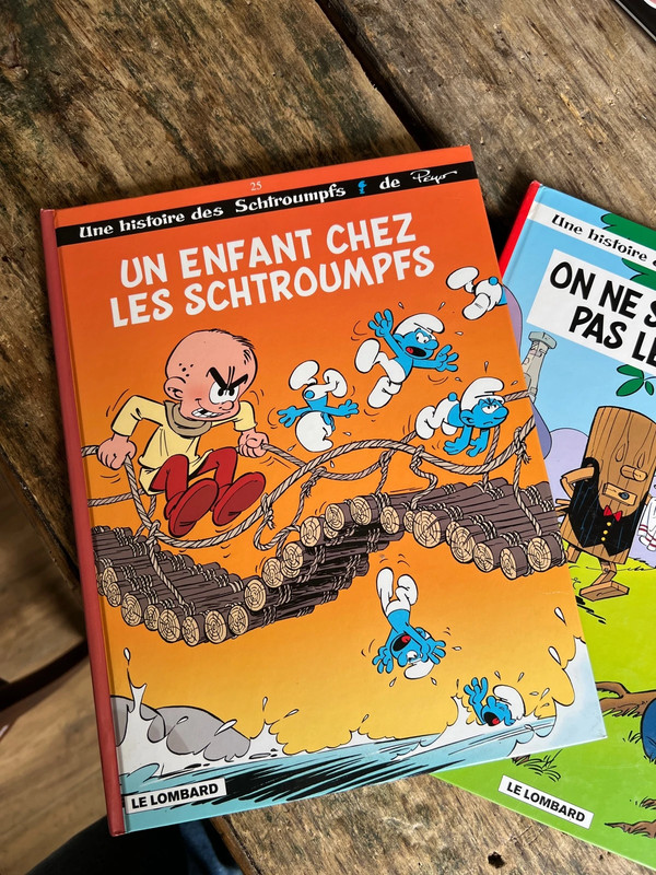 Lot de 2 BD schtroumpfs