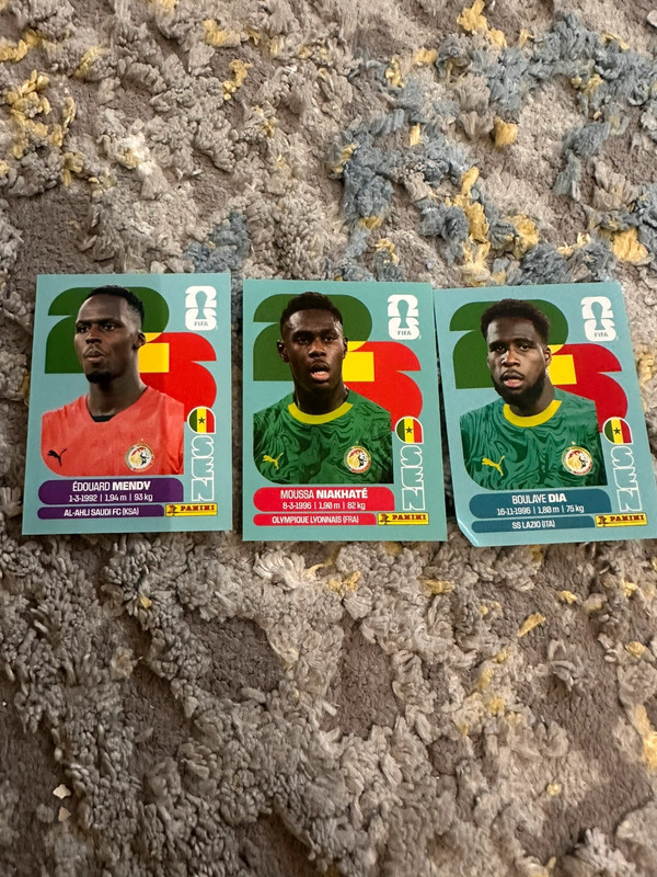 Sticker Panini