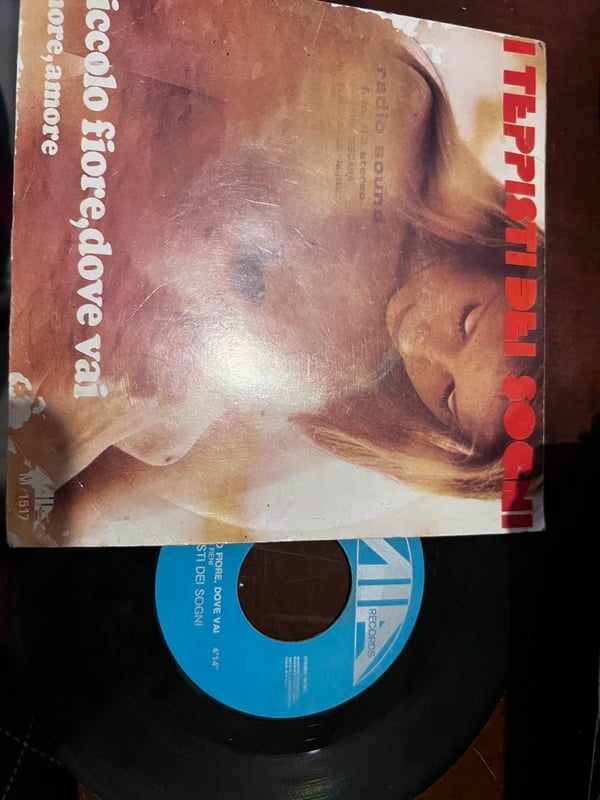 Vinile i teppisti dei sogni