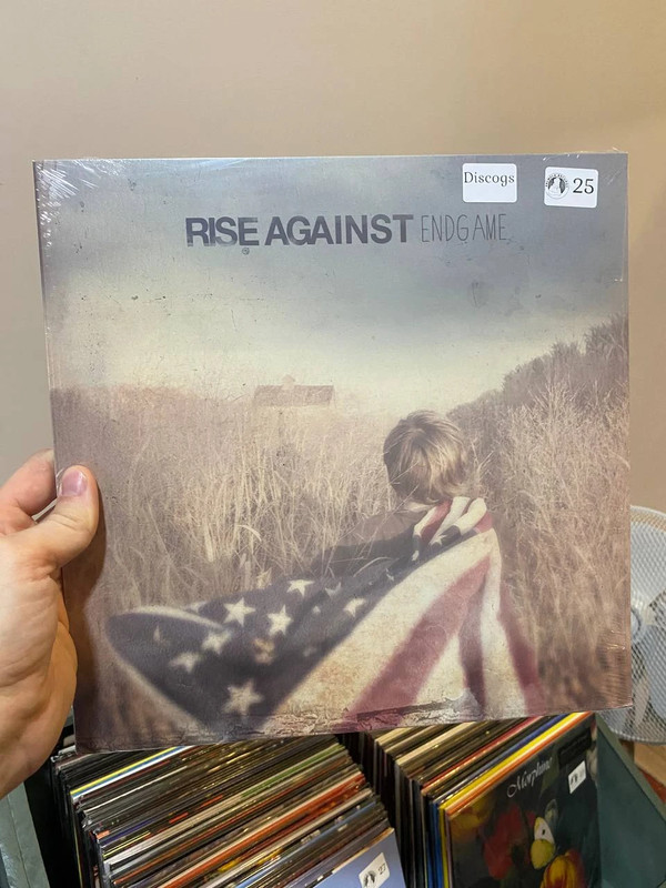 Rise - Against endgame