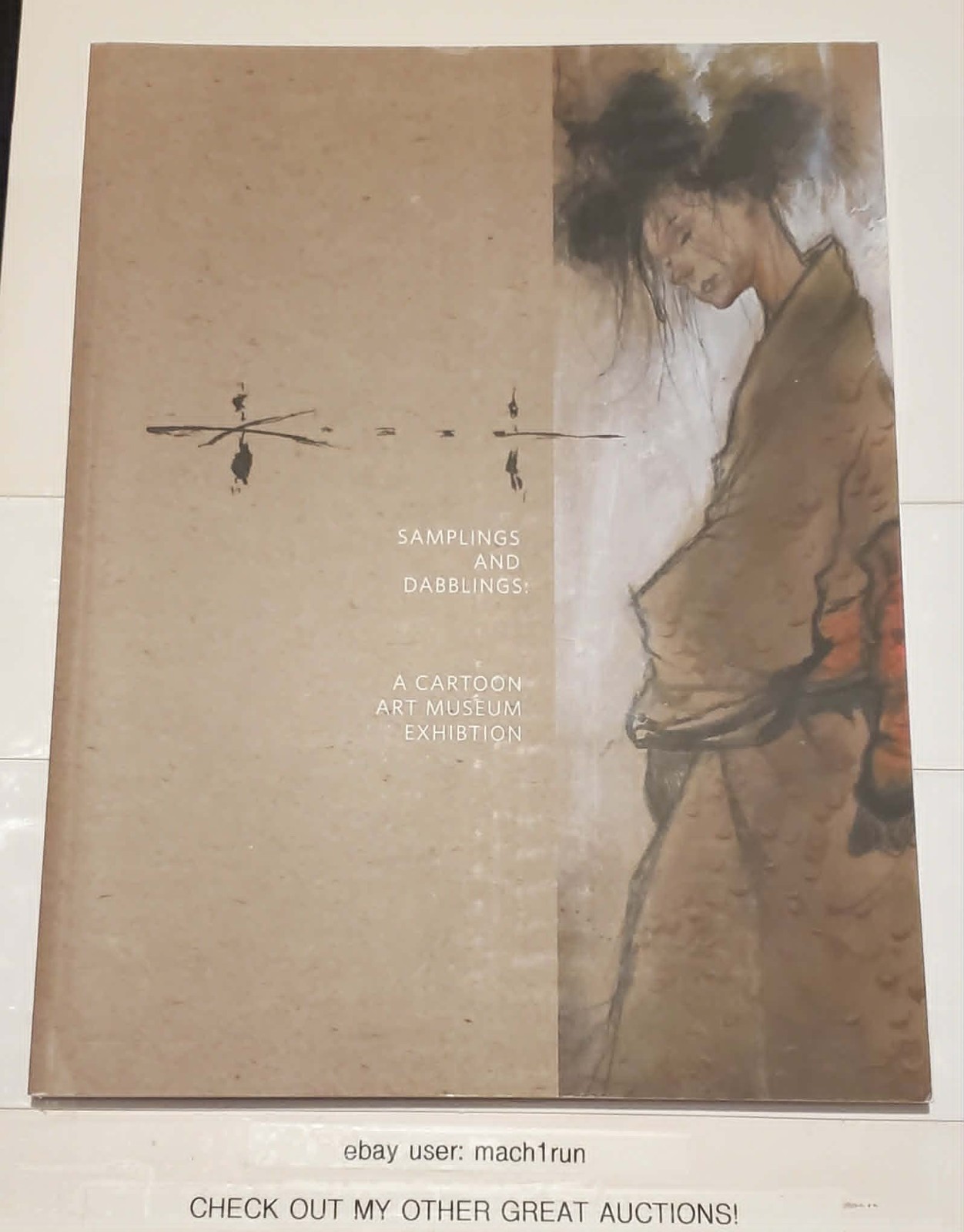 SAM KIETH CAMPIONAMENTI E DILETTANTI COPERTINA MORBIDA CARTONE ANIMATO ARTE MUSEO MOSTRA IDW