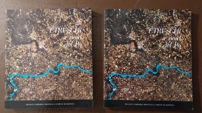 Gli Etruschi a nord del Po. Volume I e II - Campanotto Editore
