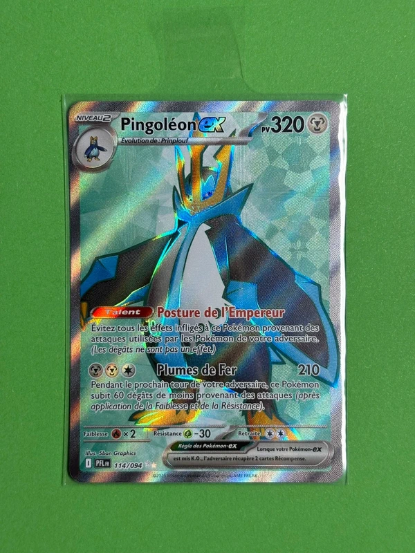 Pingoleon ex pfl 114/94