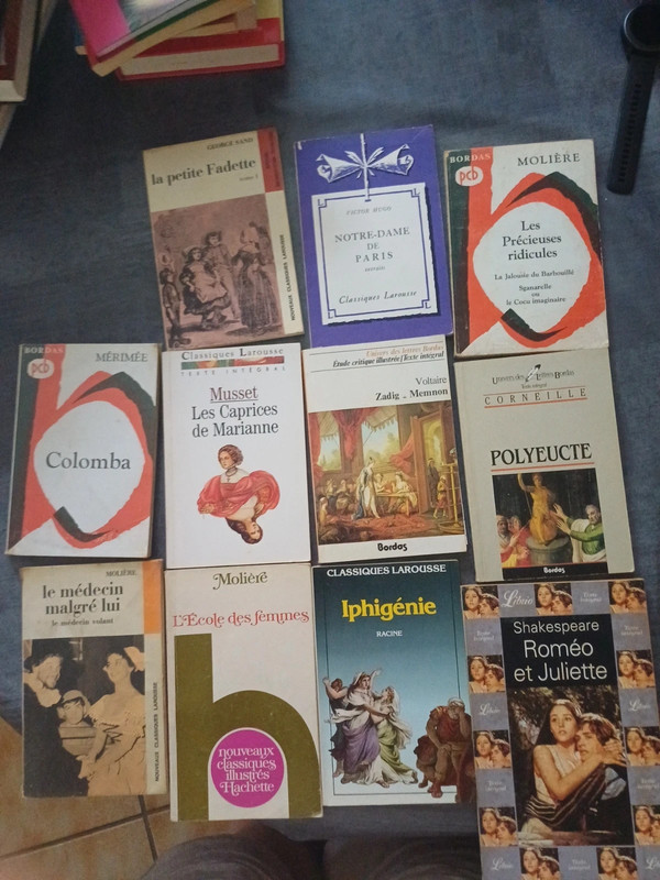 Lots de livres classiques