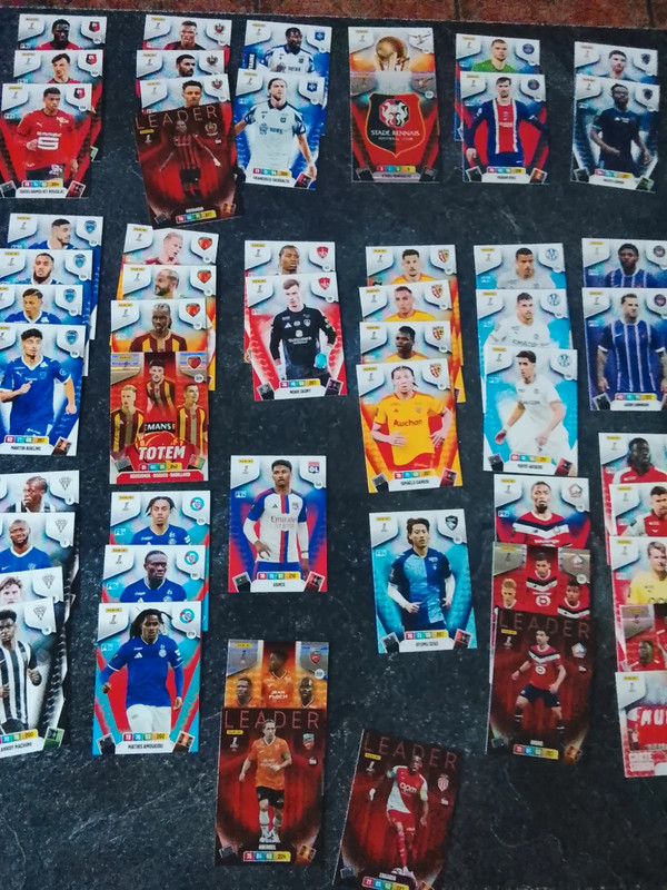 Carte de football panini