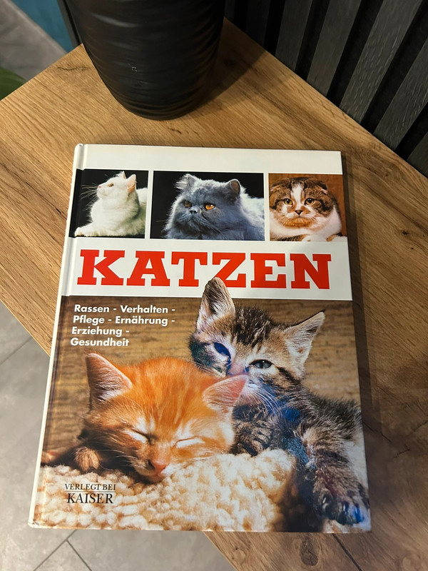 Katzen