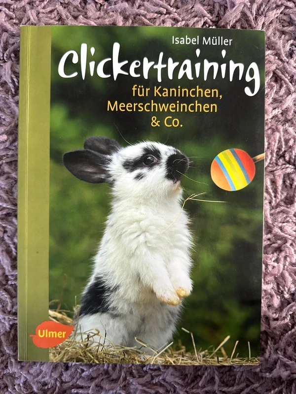 Clickertraining für Kaninchen