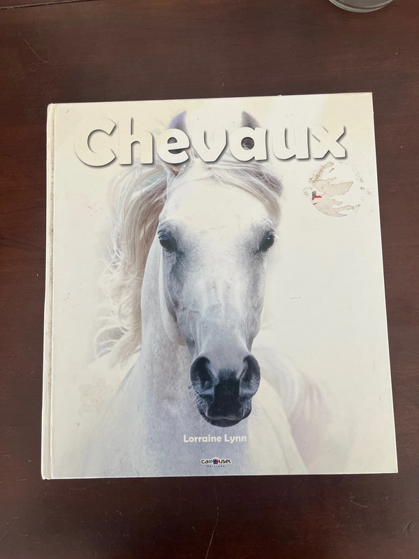 Livre - Cheveaux -Lorraine Lynn