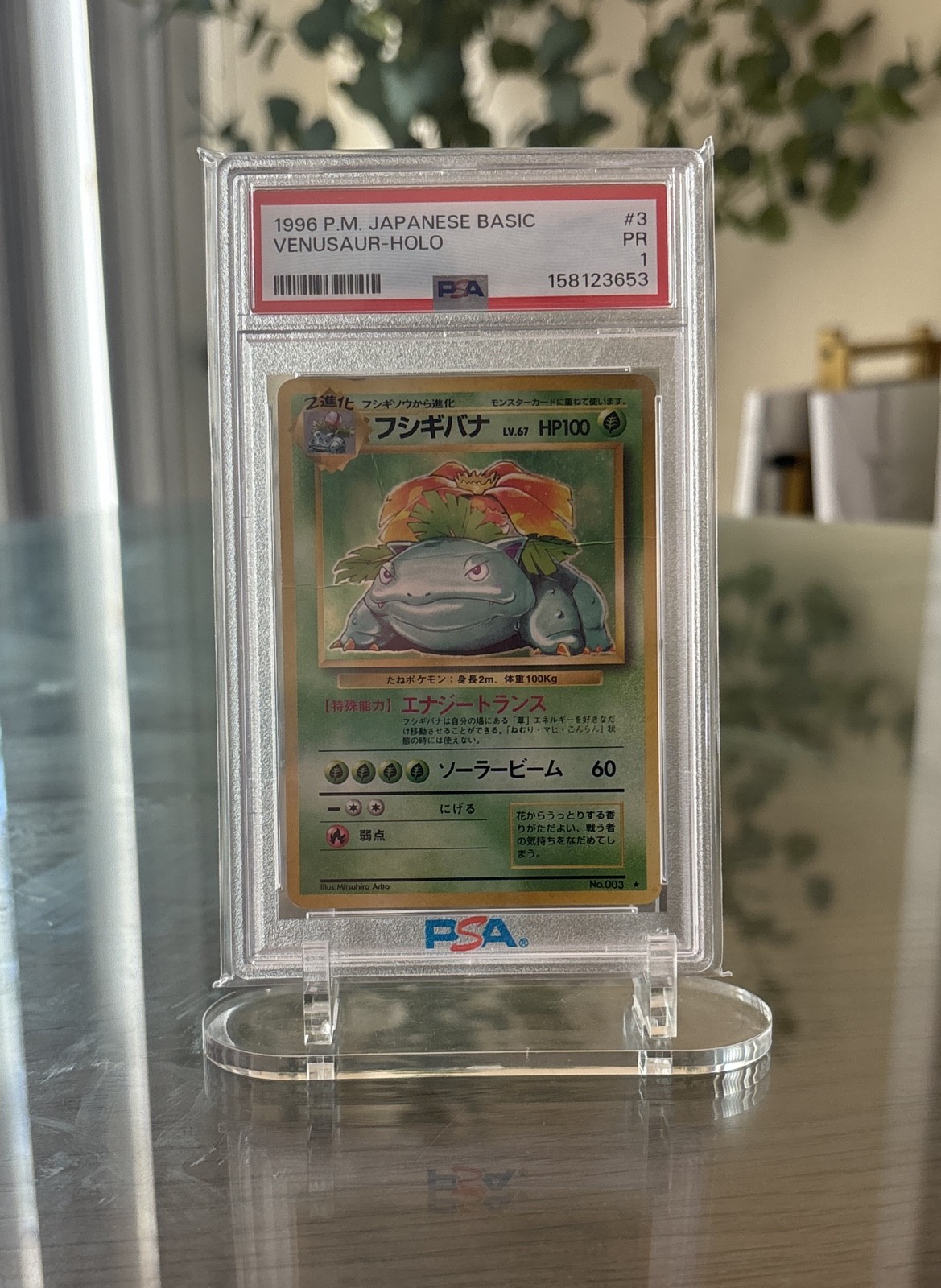 Venusaur 3 Expansion Pack Holo (Giapponese)