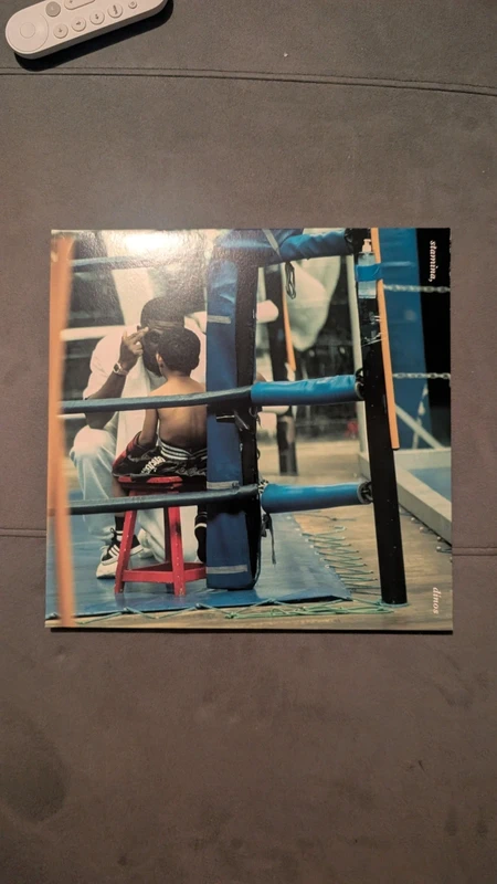 Vinyle dinos stamina
