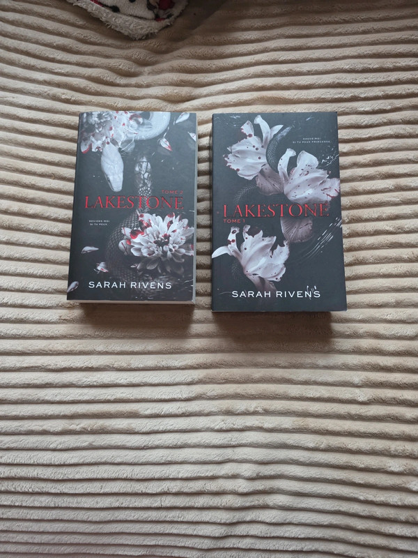 Lakestone tome 1 et 2