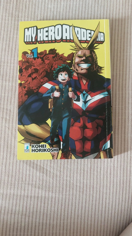 My hero academia vol.1