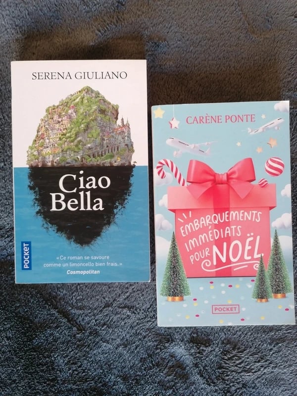 Lot 2 livres Pocket