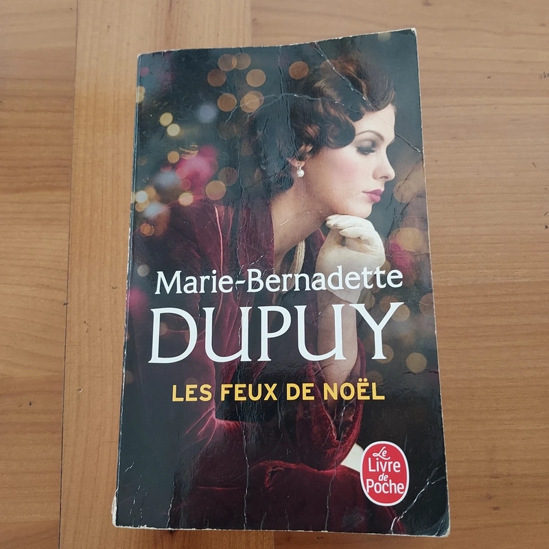 Les feux de Noël MB Dupuy