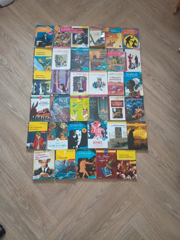 Lot 35 livres classique idéal collège