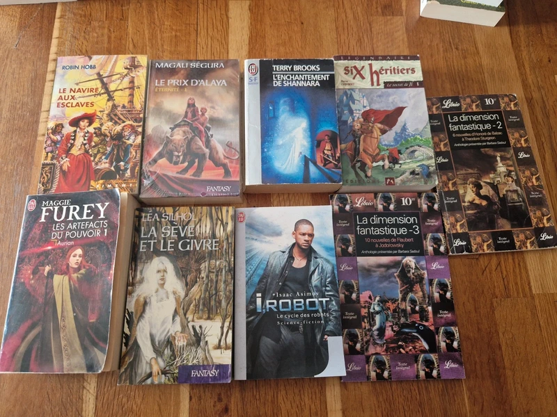 Lot de livres fantasy SF