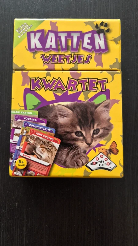 Katten weetjes Kwartet (Extra grote kaarten)