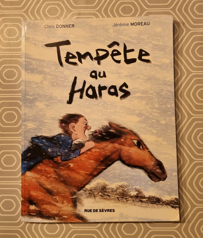 Tempête au Haras