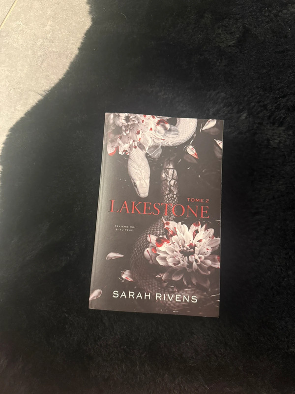 Lakestone tome 2