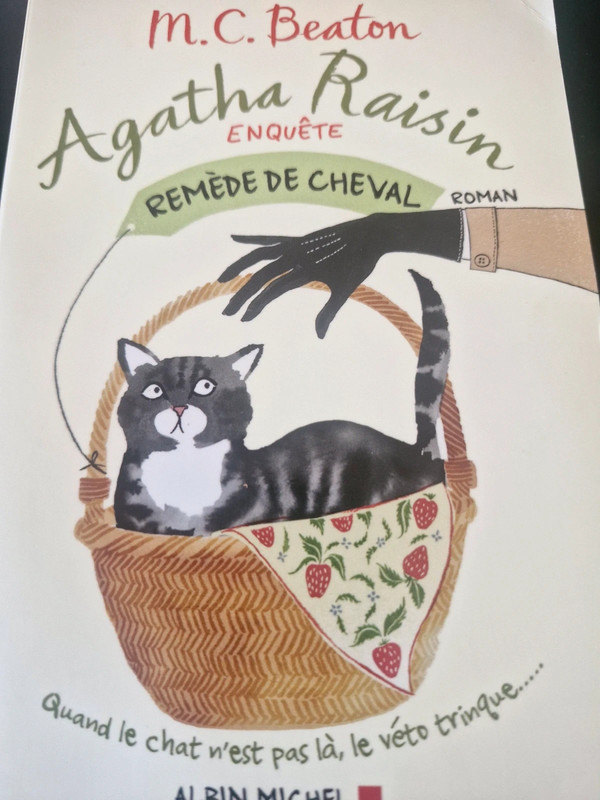 Agatha raisin