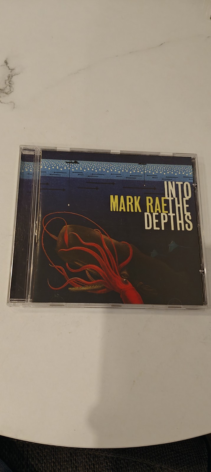 Into the Depths CD (2004) Value Guaranteed from eBay’s biggest seller!