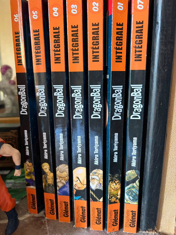 Livre dragon ball en lot