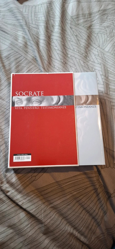 Socrate vita pensiero testimonianze editore il sole 24 ore