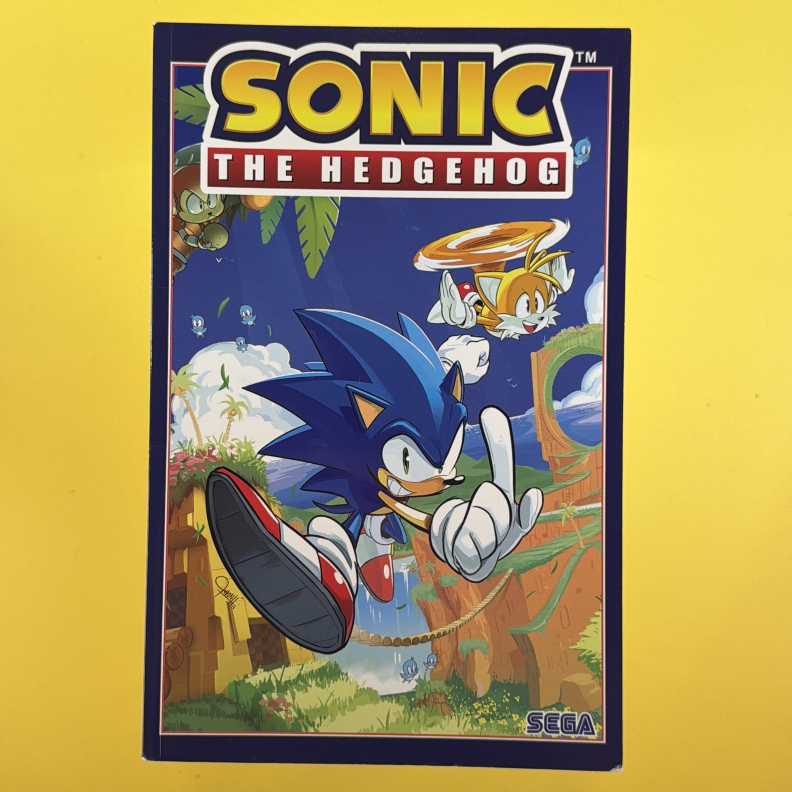 Sonic Il Riccio: Fallout! #1-#4 Copertina tascabile commerciale 2019 da collezione usata