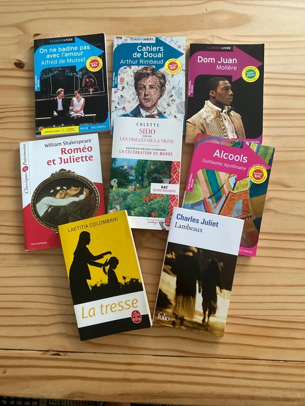 Lot de 8 livres pour Bac de Français STMG