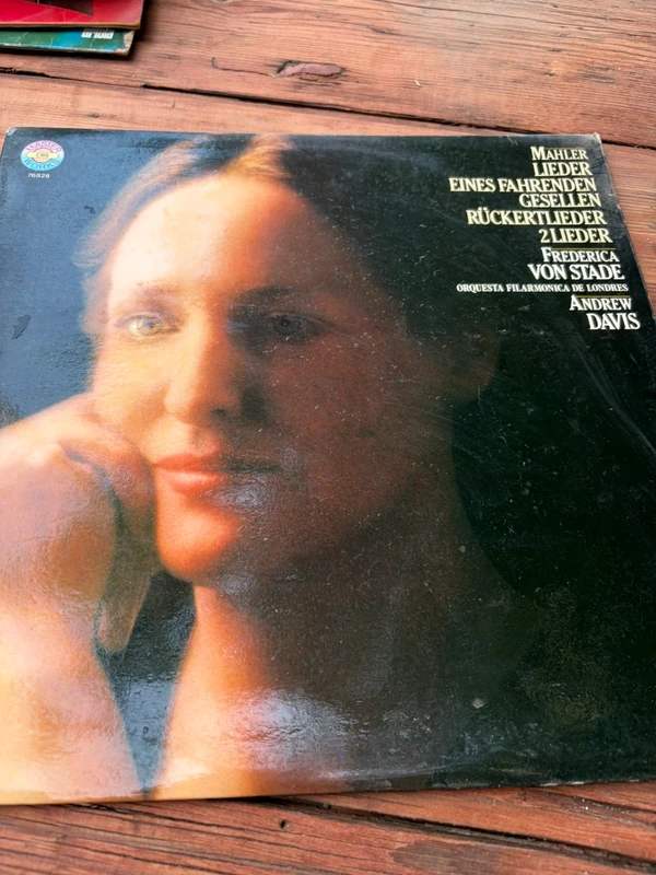 Vinilo