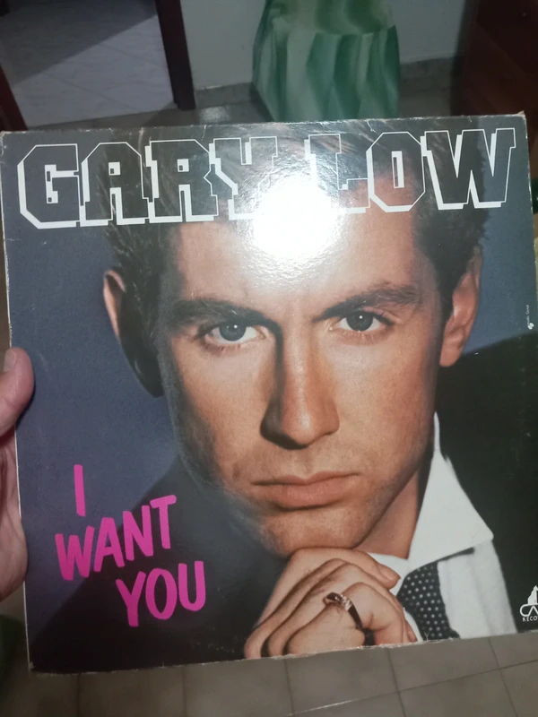 Disco in vinile