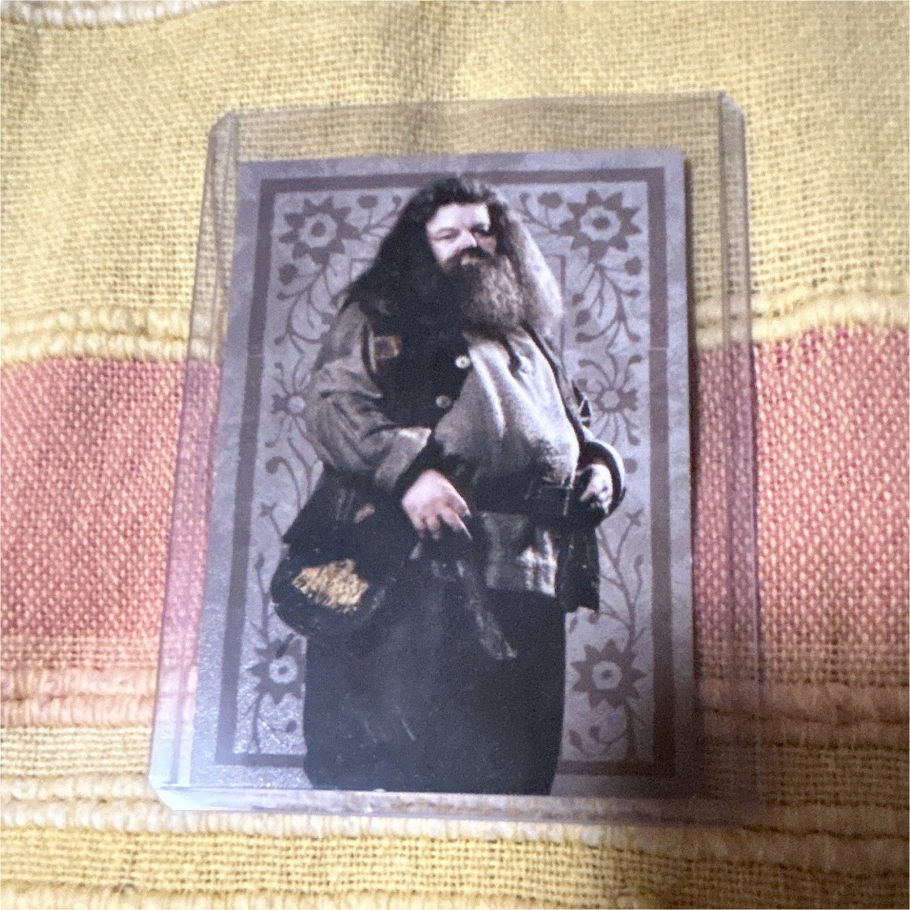 Panini Harry Potter Evolution  Trading Card #99 Rubeus Hagrid Standard