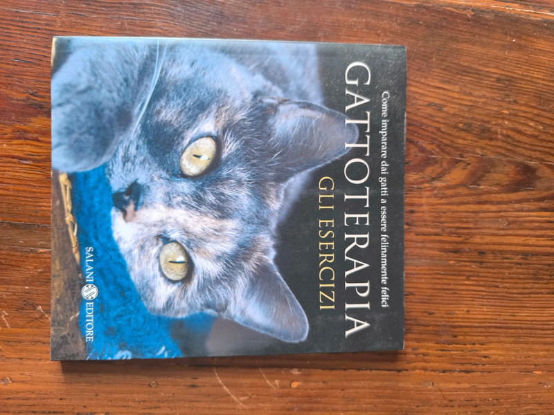 Libro gatti