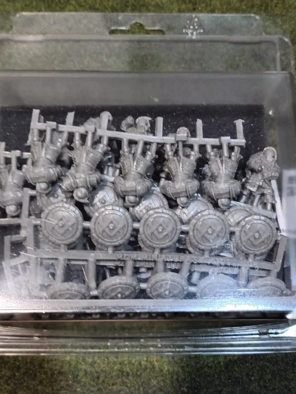 Mom Miniatures Dwarf Warriors Regiment