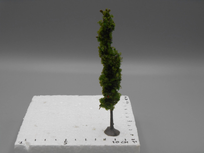 7 arbres peupliers sur pied 13 à 13.5 cm
