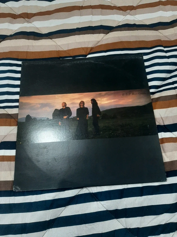 Vinile 33 giri Bee gees