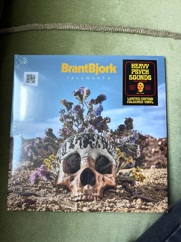 Schallplatte BrantBjork