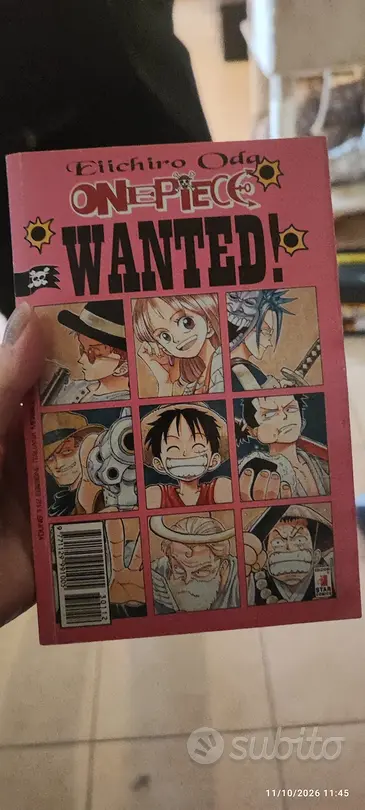 One piece wanted