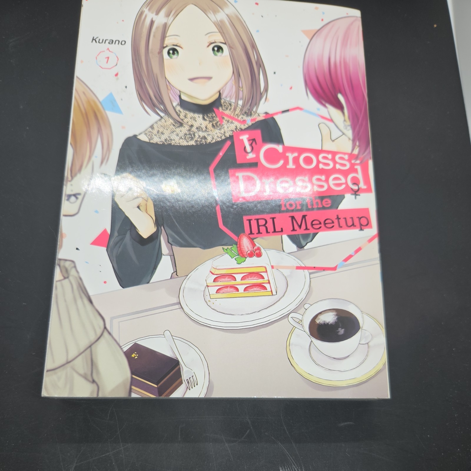 I Cross Dressed for the IRL Meetup (vol. 1) Manga inglese