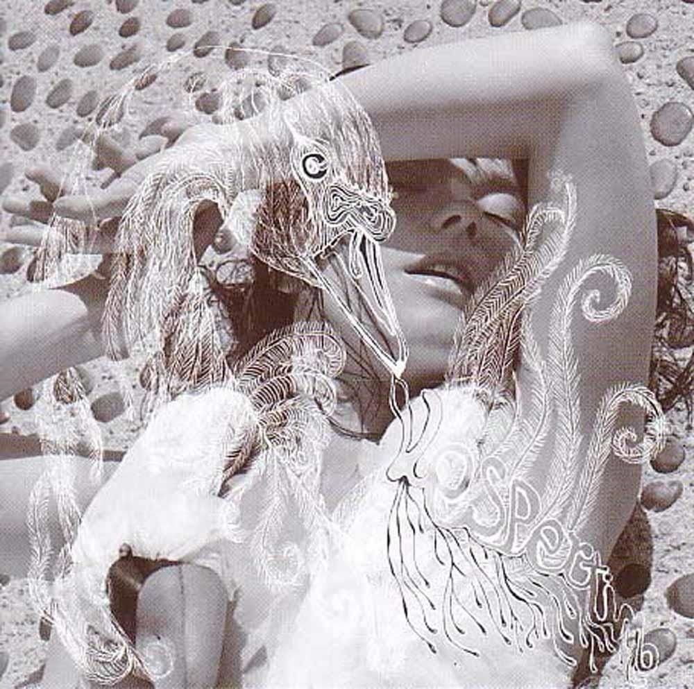 Vinile Bjork - Vespertine