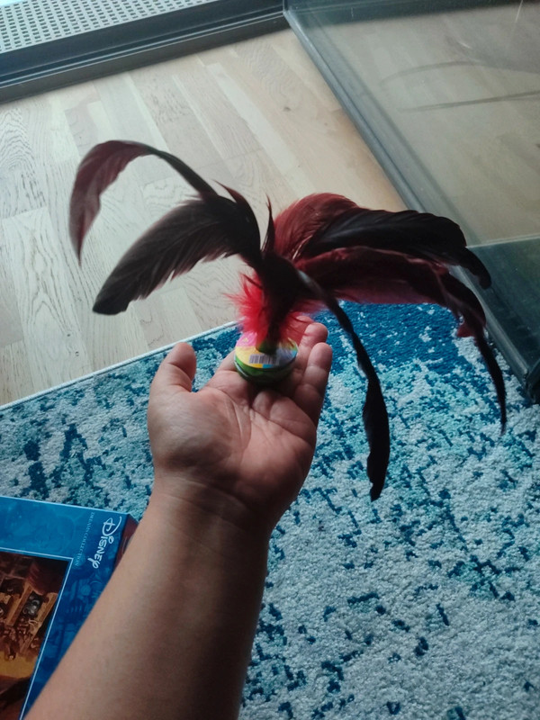 Volant de pied traditionnel chinois