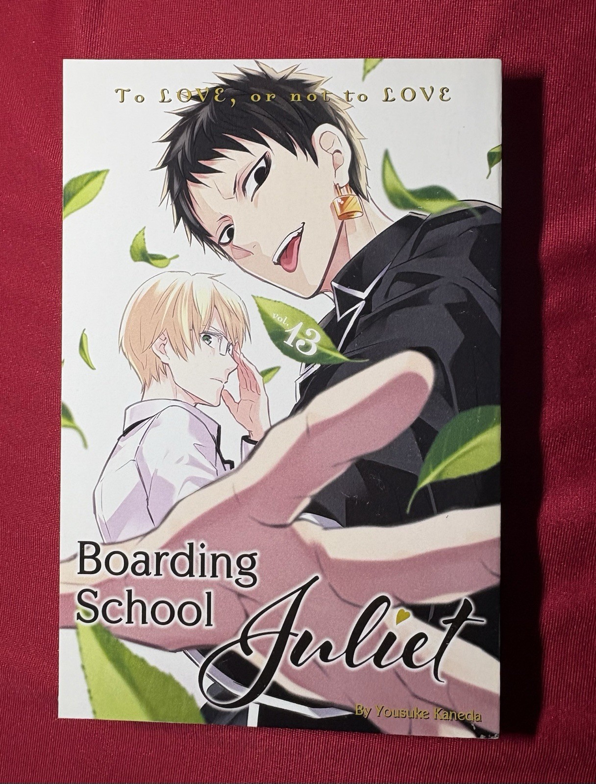 Collegio Giulietta, Vol. 13, di Yousuke Kaneda, manga inglese 2020
