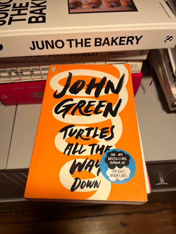 John Green Turtles All The Way Down