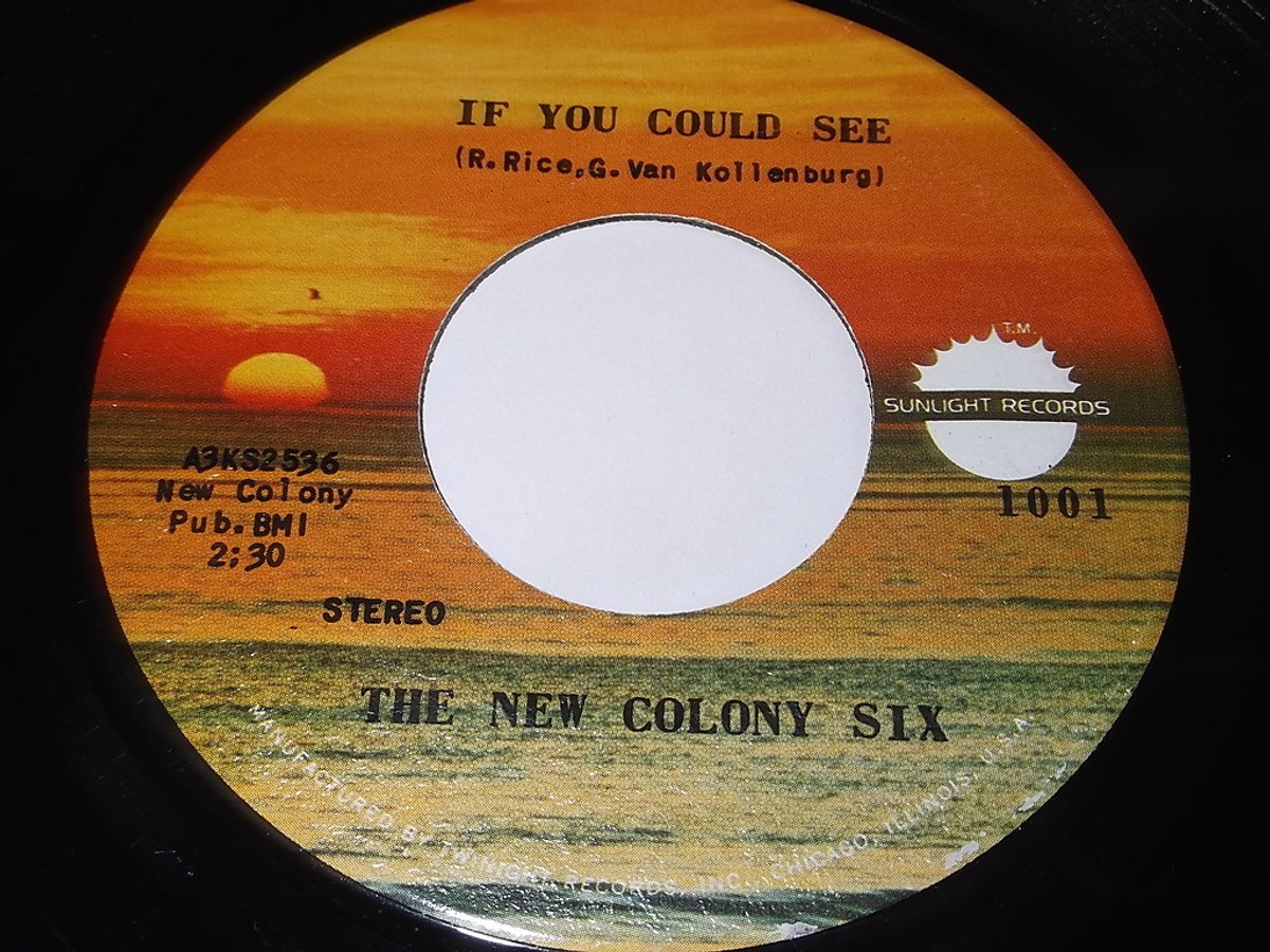 The New Colony Six - If You Could See / Roll On 45
