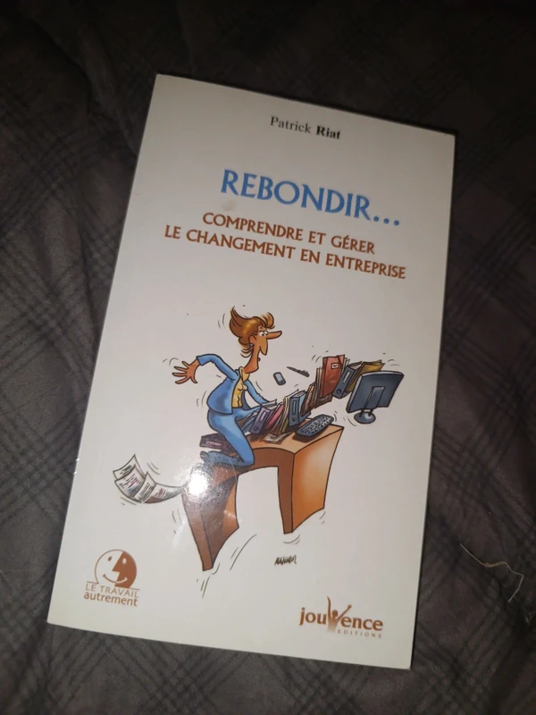rebondir comprend et gérer le changement en entreprise
