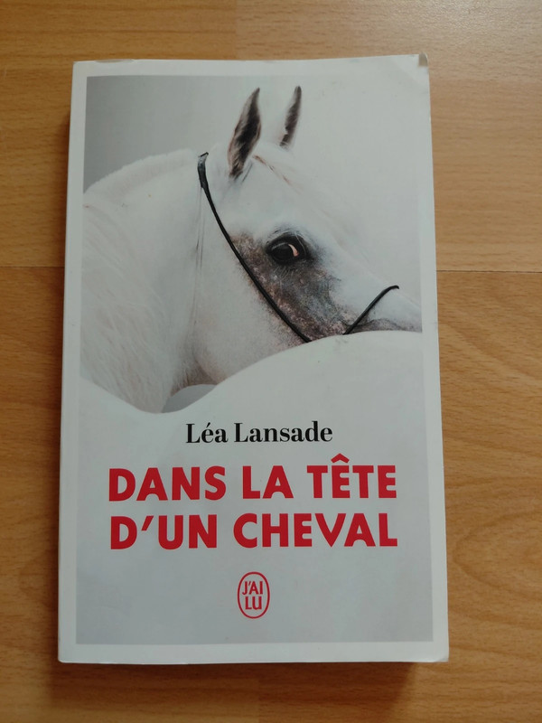Livre dans la tête d'un cheval