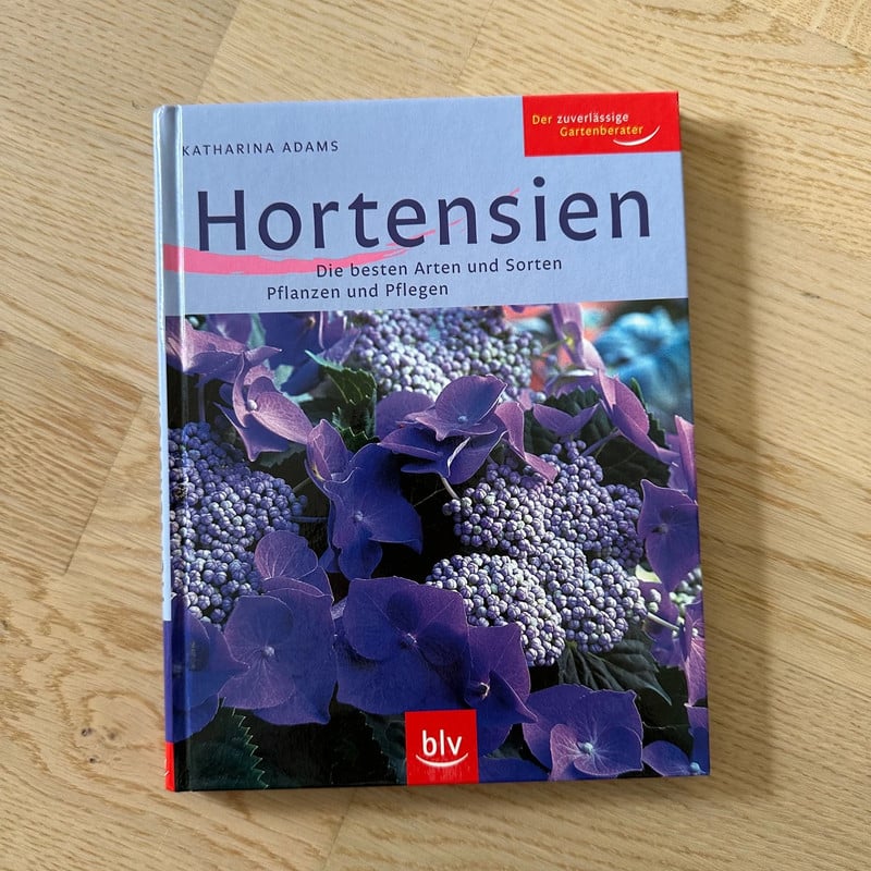 Hortensien, Gartenratgeber, Pflanzen und Pflegen