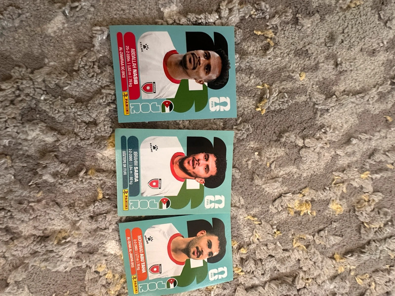 Sticker Panini