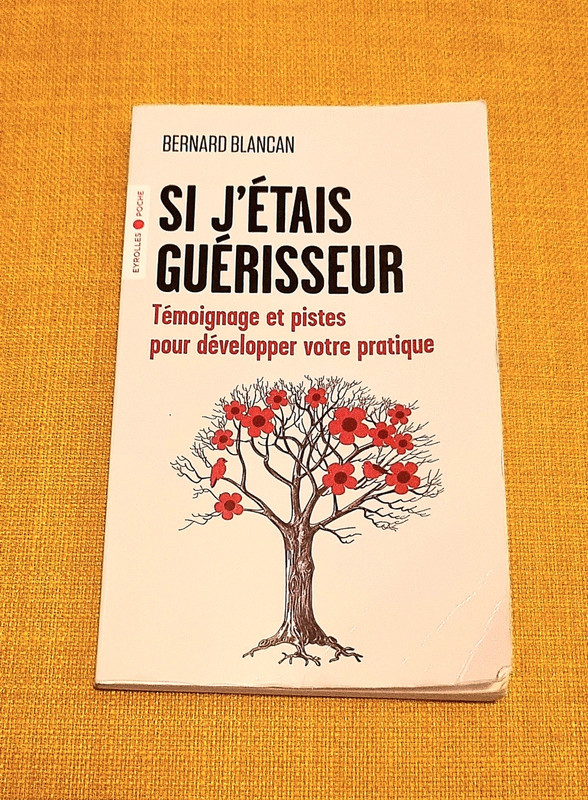 Si j'étais guérisseur